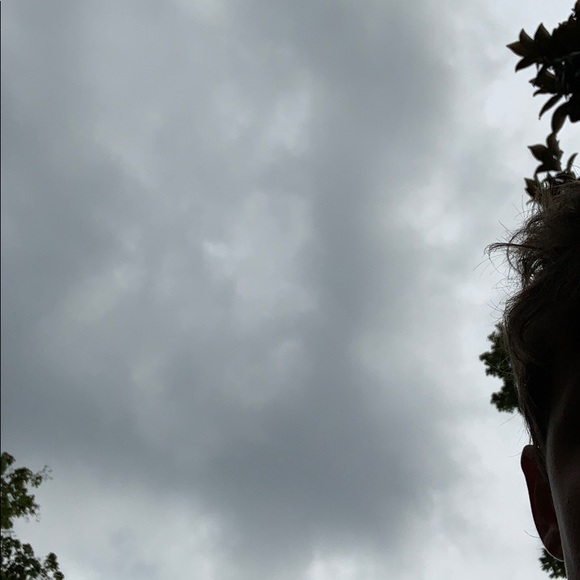 Meet your Posher, Charlie - Picture 1 of 1